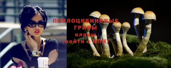 mix Лабытнанги