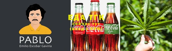 крисы Лагань