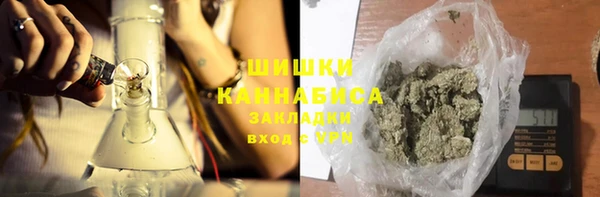 крисы Лагань