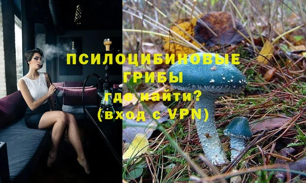 mix Лабытнанги