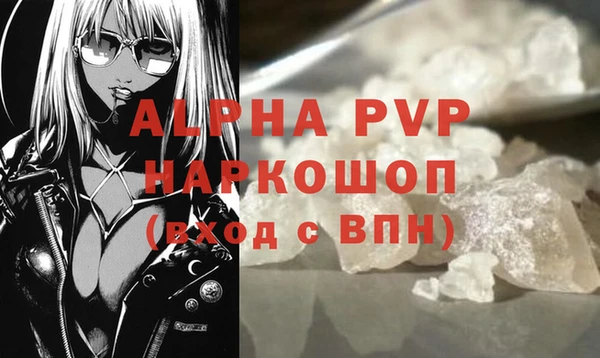 крисы Лагань